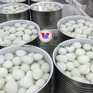 VENTAS CALIENTES |   Proveedor del Delta de Vietnam de Huevos de Codorniz Enlatados |   Exportación a Granel de Vietnam - Product Image 2