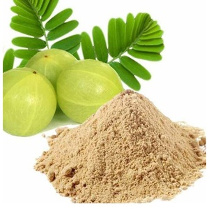 Polvo de grosella espinosa a granel/Proveedor de polvo Amla para fabricantes - Product Image 1