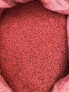 ผงเมล็ด Annatto สกัดแห้งชนิดแปรรูป - Product Image 2