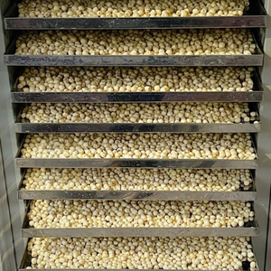 GRAINES DE LOTUS ENTIÈRES SÉCHÉES DU VIETNAM-APPROVISIONNEMENT EN VRAC AVEC LA GARANTIE DU MEILLEUR PRIX - Product Image 6