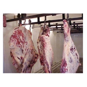Cuartos Delanteros de Res Deshuesados Frescos y Congelados, Ideales para Cocinar y Asar - Product Image 1