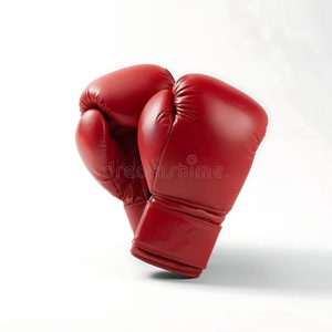 Sac de frappe pour le kick-boxing et le MMA - Gants de boxe pour hommes, femmes et enfants - Product Image 4