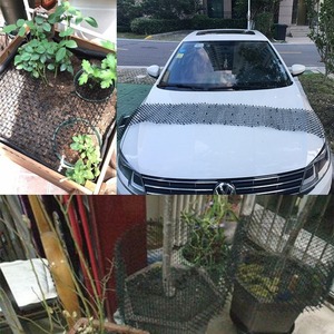 Outdoor Flower Balcony Roof Anti Cat Thorn Nail Spikes Pad Cat Thorn <strong>Roll</strong> Isolation <strong>Net</strong> Vegetable Garden Repellent Pet Trampling - Product Image 4