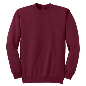 Sweat-shirts d'hiver en molleton de coton brodés, imperméables et respirants, coupe régulière, grande taille, 350g, vente en gros - Product Image 6