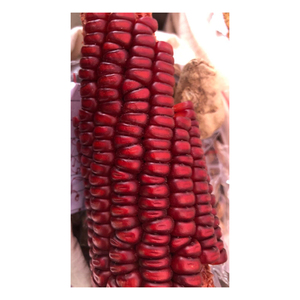 Nouvelle récolte 680 tonnes de maïs rouge séché biologique pour la consommation humaine et l'alimentation animale vente de qualité standard - Product Image 2