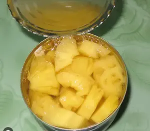 Лучшие продажи, вьетнамский производитель, высококачественный консервированный кусок тропического ананаса в легком сиропе по низкой цене