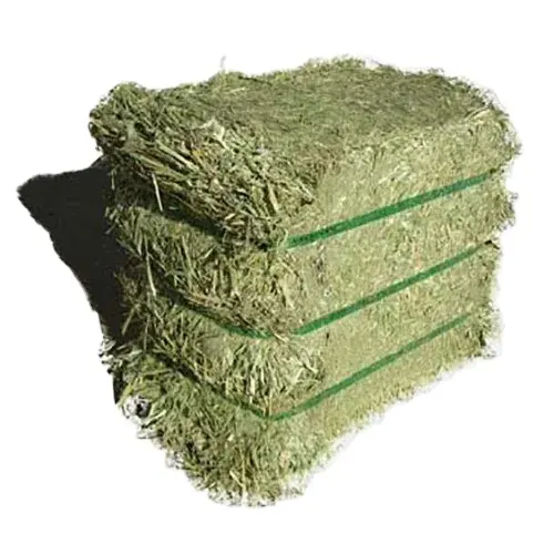 Top Grade Denmark Alfalfa For Animal Feed / Alfalfa Hay In Bulk BEST QUALITY ALFALFA HAY FOR SALE