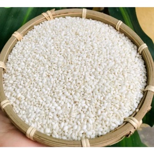 PRINCIPAUX FABRICANTS DE RIZ AU VIIETNAM RIZ COLLANT GLUTINEUX RIZ BLANC LONG 1KG, 5KG VIETNAM POUR L'EXPORTATION EMBALLAGE OEM - Product Image 4