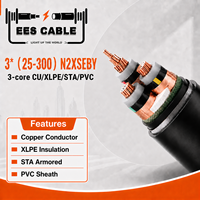 Câble d'alimentation blindé N2XSEBY 3 conducteurs CU XLPE PVC STA 3x25-300mm² avec conducteur en cuivre pour installation souterraine