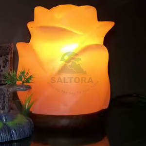 Lampe à sel 100% naturel en nouveau stock lampe à sel en forme de fleur meilleur prix lampe à sel en forme de fleur pour sel - Product Image 5