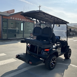 Voiturette de golf électrique neuve 4 places, pneus 26x9-12, buggy tout-terrain, 30-50 km/h, carrosserie en acier, couleur noire - Product Image 2