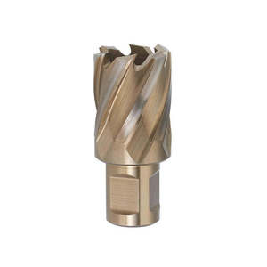 Brocas de Carburo con Accesorio Weldon - Product Image 1
