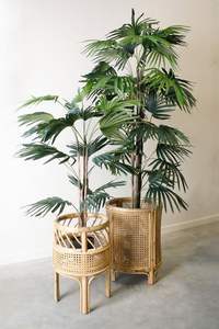 Garden Decor Rattan Planters with Iron <b>Stand</b> Natural Rattan Planter with Large Floor Standing <b>Black</b> <b>Stand</b> in Low Price - Product Image 3