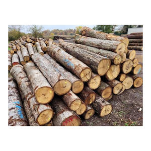 Grumes de chêne rouge américain abordables offertes en volume pour les gros acheteurs - Product Image 1