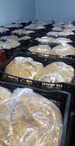 Cubo de fruta de la Pasión congelada, tarro a granel 1lit como petición Frutas tropicales congeladas - Product Image 5