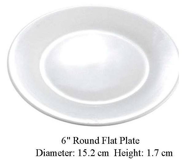 6" round flat Plate