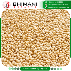 Graines de sésame blanches brutes de qualité supérieure, certifiées HACCP, biologiques, sans OGM, durée de conservation de 12 mois, pour la cuisine humaine - Product Image 2