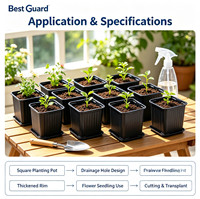 Protective Blister Box For Plant Cuttings, Agricultural Horticulture Seedling Express Packaging