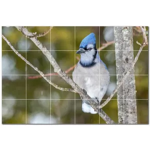 Pájaro Cerámica Azulejo Pared Mural PT500175 25,5 \ "W X 17 \" H Juego de 24 4,25 Azulejos - Product Image 1