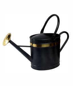 Arrosoir de luxe galvanisé Simple métal eau peut créatif vintage canne à eau jardin logo impression arrosoir - Product Image 1