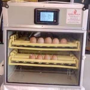 VENTE FLASH - Incubateur automatique pour 176 œufs - Taux d'éclosion élevé - Contrôle intelligent - Incubateur d'œufs de volaille - Blanc - 45 kg - Product Image 1