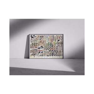Native Beetles <b>Poster</b> German DIN A1 Size Wall-Mounted Paper Design - Product Image 3