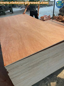 Contreplaqué Bintangor de haute qualité du Vietnam projets d'intérieur de Lucyplywood et fabricant de panneaux de bois pour une utilisation en entrepôt - Product Image 3