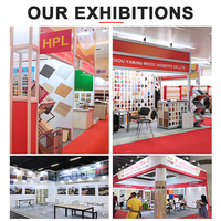 Wuya Nuevo Diseño, Tablero Laminado Compacto HPL de 12 mm, Resistente al Fuego y a la Humedad, Materiales HPL