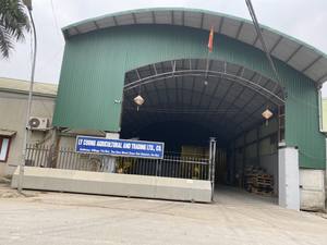 Harina de Arrowroot Seca Vietnamita Premium al por Mayor. Sin Gluten, Natural, de Primera Calidad, Perfecto para Hornear y Cocina Asiática - Product Image 2