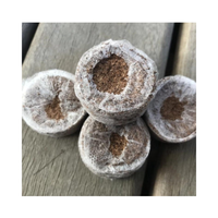 COCO Jiffy-arbre de planification de bloc vert or clair foncé pour serre 99GD, 100% prix de la menthe COCO biologique