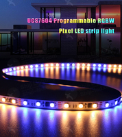 Bande LED Shiji programmable RGBW Pixel 12V 24V SPI UCS7604 double ligne de données 65536 niveau de gris 72Leds 60Leds bande de LED 5050 Pixel