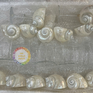 แก้วไวน์เปลือกหอยมาร์ตินี่ทำด้วยมือของขวัญสุดสร้างสรรค์ & ของตกแต่งงานแต่งงานเปลือกหอย0084935825297งานฝีมือ - Product Image 6