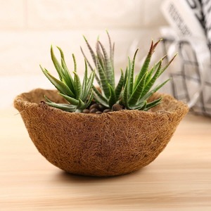 Doublure en fibre de coco pour planteur de panier suspendu en métal doublures rondes en fibre de coco de meilleure qualité du Vietnam - Product Image 3