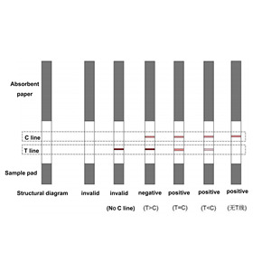 Hiyi bán chạy nhất beta-lactam và cefalexin nhanh chóng Kit kiểm tra cho nguyên liệu bò của sữa - Product Image 4