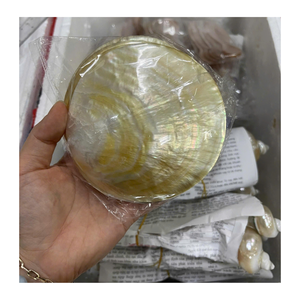 Pièces de coquille de nacre Tranches de nacre du Vietnam pour incrustation Artisanat Bijoux Art mural Décoration et meubles - Product Image 6
