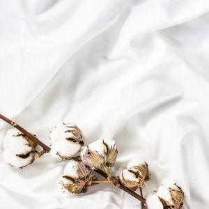 Ensemble de drap de lit et de literie en coton pakistanais en percale de T-200 à prix de gros pour hôtel de qualité supérieure - Product Image 6