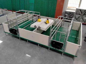 Caisse de mise bas nouvelle condition pour truie garantie 1 an équipement d'élevage de porcs système d'enclos de décrochage - Product Image 4
