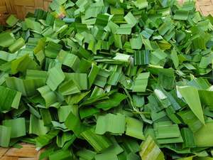 Suministro de fábrica 100% Polvo de semilla de achiote natural Especias individuales y hierbas Procesamiento crudo seco - Product Image 2