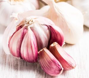 Ajo fresco a la venta - Product Image 3