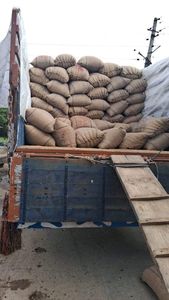 Suministro de Empresa: Maíz Amarillo Seco Barato, Grano No Glutinoso, Maíz Maduro para Alimentación Animal, Venta al por Mayor a Granel - Product Image 6
