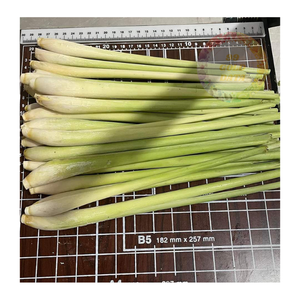 Fournisseur en gros de citronnelle congelée IQF-Meilleur prix pour les acheteurs internationaux-Fraîchement coupé et emballé pour une distribution mondiale - Product Image 3