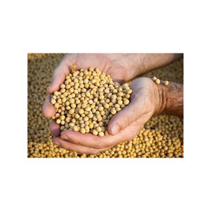 Vente en gros de soja biologique riche en protéines soja jaune de qualité supérieure sans OGM séché en usine-emballé - Product Image 6