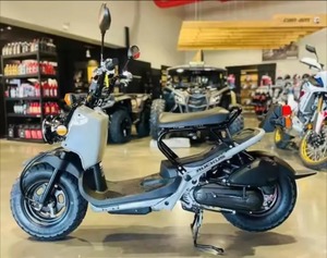 Nueva llegada RUCKUS eléctrico todoterreno Motor Scooter 72V batería de litio 3000W potencia del Motor 80 km/h Velocidad máxima MiniBike/PocketBike - Product Image 1