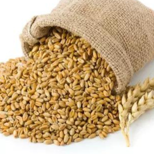 Grain de blé de haute qualité provenant d'ukraine 1, grade 2, grade 3, grade 6, livraison dans le monde entier, disponible dans un emballage à faible coût en 25kg b - Product Image 2