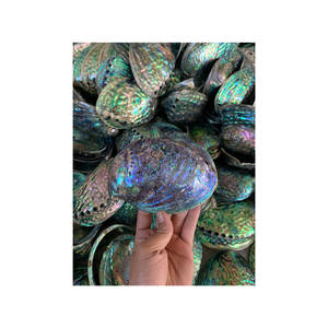 Natural <b>abalone</b> <b>shell</b> for bathroom decoration, supplied to spa hotels wholesale, durable, environmentally friendly - Product Image 4