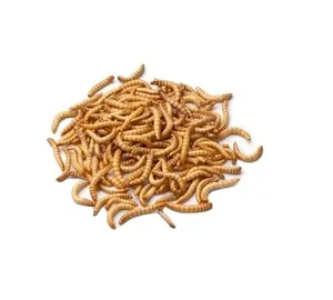 100% Non GMO Natural Dried Mealworms for Animal Feed