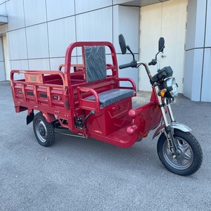 รถสามล้อบรรทุกไฟฟ้า 60V 1000W ขายดีที่สุด รถมอเตอร์ไซค์บรรทุกแบบเทท้าย 3 ล้อ สำหรับขนส่งสินค้า ได้รับการรับรองมาตรฐาน EEC สำหรับใช้โดยผู้โดยสาร - Product Image 1