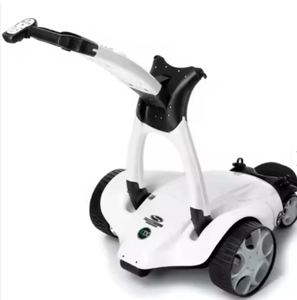 Electric <b>Golf</b> Cart 400W Motor 24V Rechargeable Lithium Battery - Product Image 1