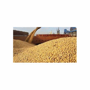 Repas de soja frais à haute teneur en protéines de qualité supérieure pour l'alimentation des animaux Meilleur fournisseur agricole en vente - Product Image 6