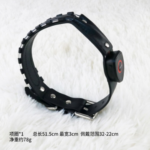 Collier lumineux laser pour scène, idéal pour les soirées KTV, les boîtes de nuit et les spectacles - Product Image 2